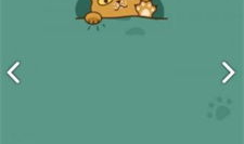 桔小猫短视频,趣味横生的日常瞬间，带你领略萌宠魅力